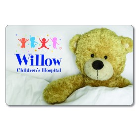 PG-30_teddypillow_front_800x800 (002)